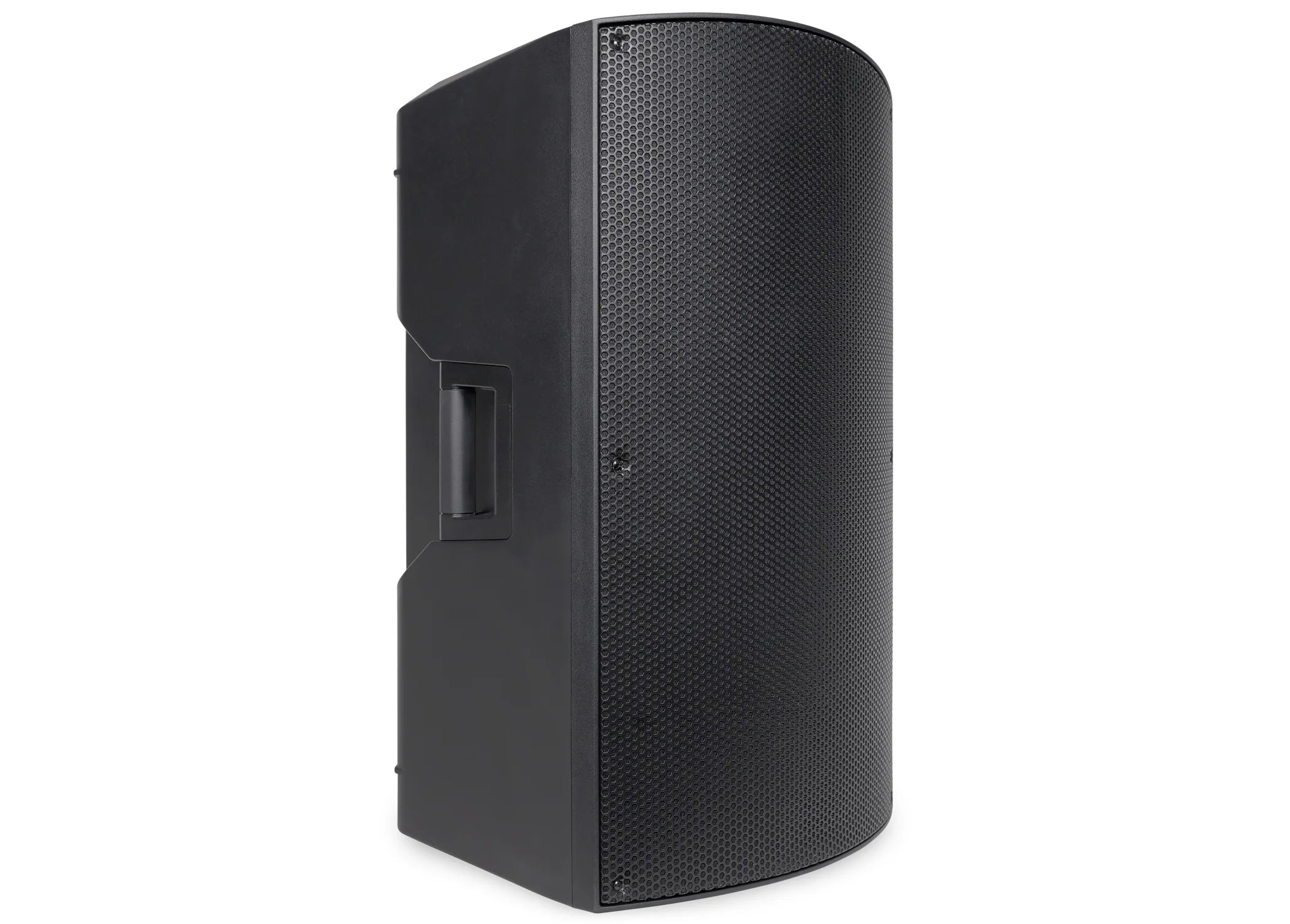 Pure Resonance Audio P115 Passive 15 Inch PA Speaker 350W Output Left Angle